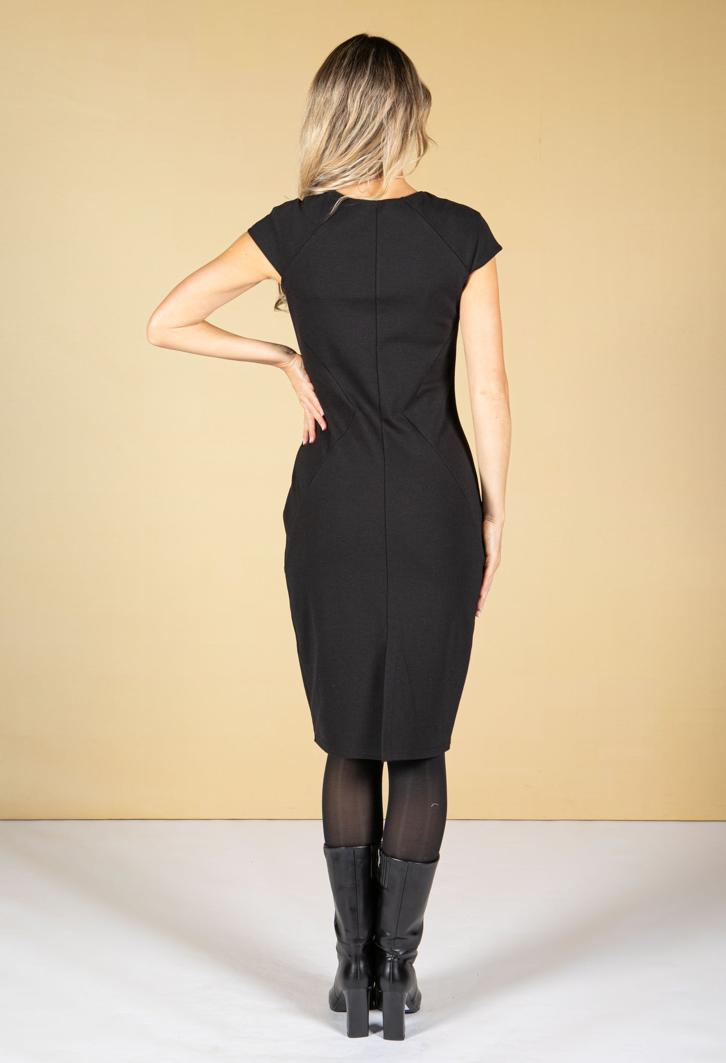 Fitted Panel Detail Dress