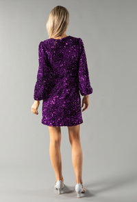 Velvet Sequin Dress