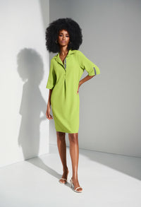 Knee-length Shirt Dress